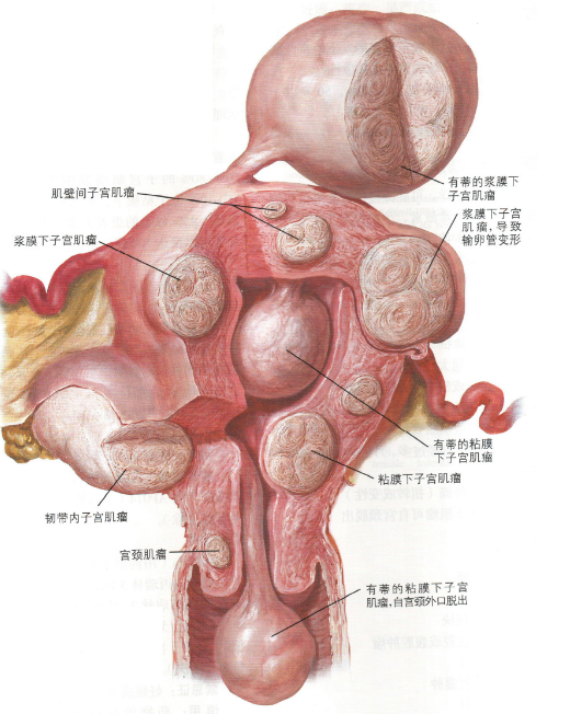 娱乐生活 第66页