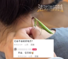游戏专题 第26页